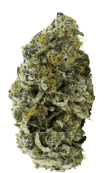 avaay 30/1 JFP Jet Fuel Pie